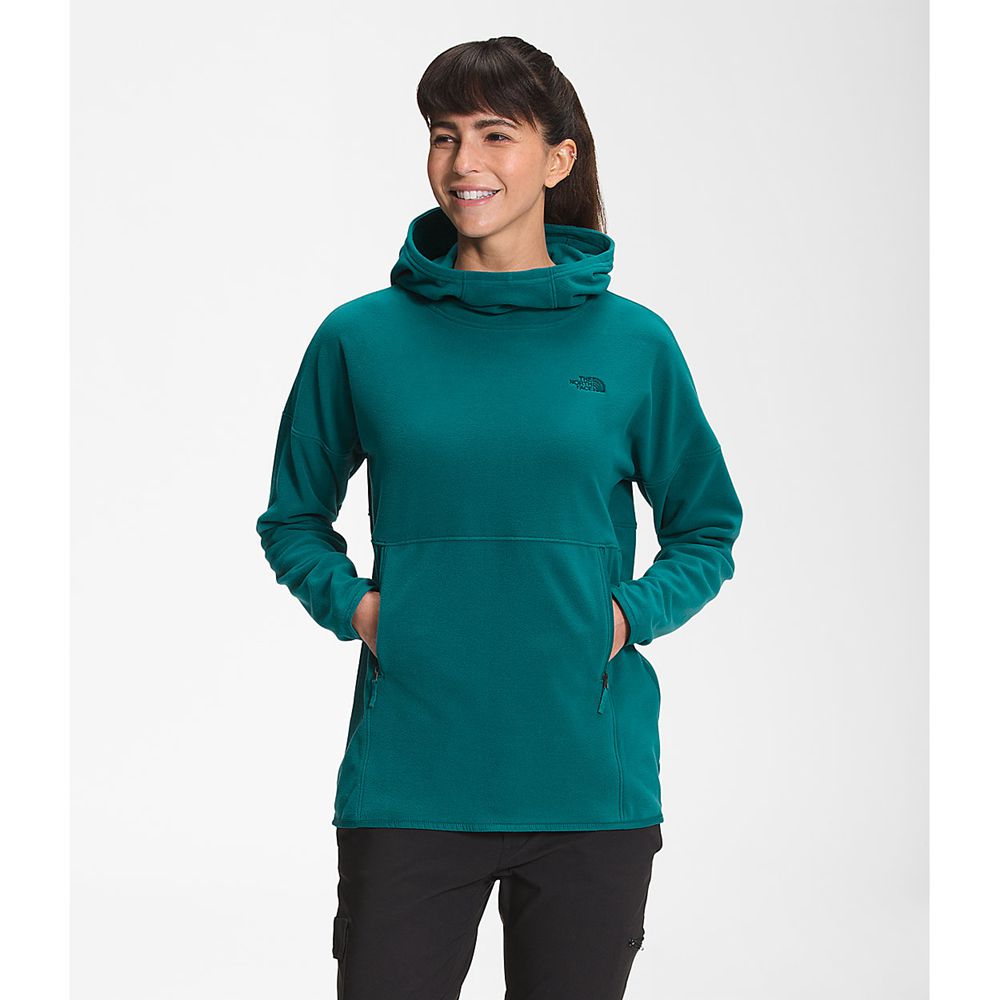 The North Face Hoodie Womens Australia - The North Face Tka Glacier Pullover Blue Snow (YGP-947051)